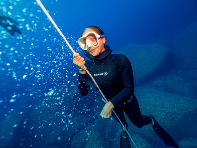 Discover Freediving in Gozo, Malta