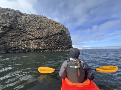 Excursion guidée en kayak de mer à Árskógssandur et observation de la faune
