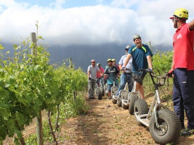 Visita guiada en Patinete eléctrico por los viñedos de Franschhoek, cerca de Ciudad del Cabo