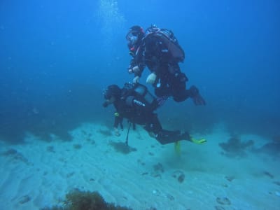 Primera inmersión en la Reserva Marina de Arrábida desde Sesimbra
