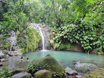 Visita guiada con conductor en Basse-Terre, Guadalupe