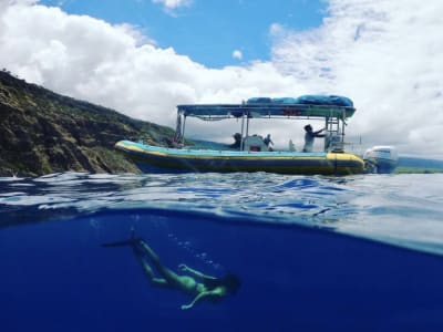 Excursión guiada de snorkel en South Kona, en la isla de Hawaii