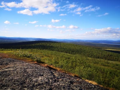 Guided hiking excursion in Kurravaara with a campfire from Kiruna