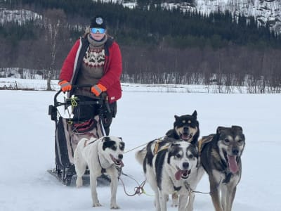 Self-Drive Dog Sledding Excursion in Skibotn from Tromsø