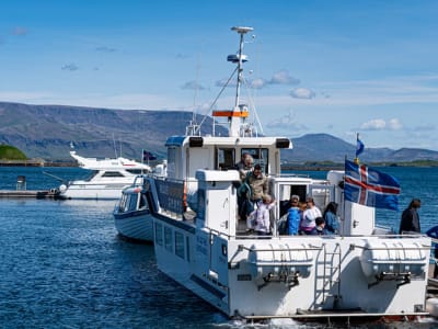 Observation des macareux et des baleines depuis Reykjavík