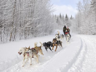 Dog Sledding in the Laurentians, at Val-des-Lacs
