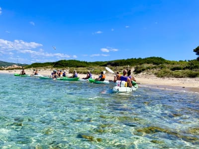 Entdecken Sie das Seekajakfahren auf der Lagune von Piantarella und in der Nähe der Vogelinsel mit Schwimmen, Bonifacio