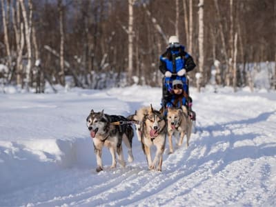 Safari de chiens de traîneau en autonomie à Moen, Målselv
