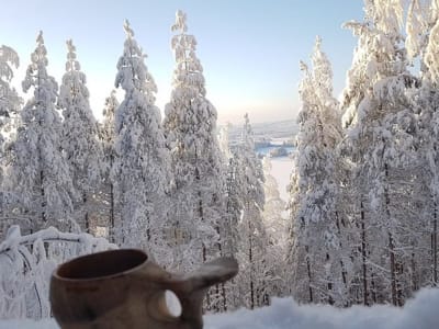 Randonnée guidée en motoneige à partir de Kuusa près de Laukaa