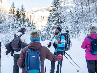 Discover Snowshoeing in the Giffre Valley near Samoëns