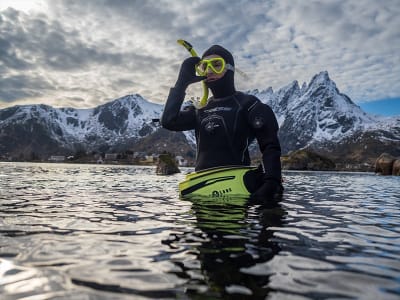 Winter Arctic Snorkelling Excursion in the Lofoten Archipelago from Ballstad
