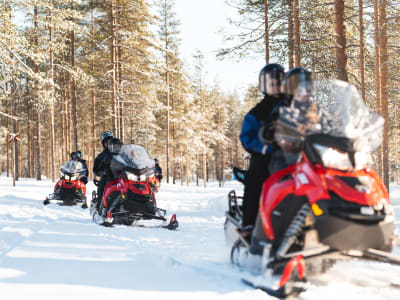 Safari en moto de nieve para principiantes en Levi