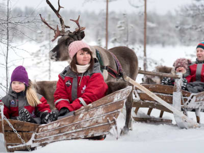 Husky and Reindeer Farm Visits with Sleigh rides by Minivan from Levi