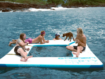 Delphinbeobachtung und Schnorcheln mit dem Zodiac auf Hawaii, Abfahrt von Kailua-Kona