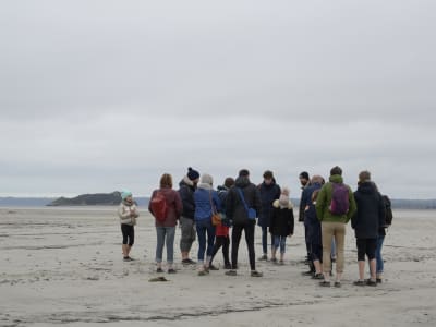 Balade sur les grèves de la Baie du Mont Saint-Michel