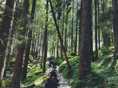 Excursión de Senderismo por el Camino de Santiago desde San Sebastián