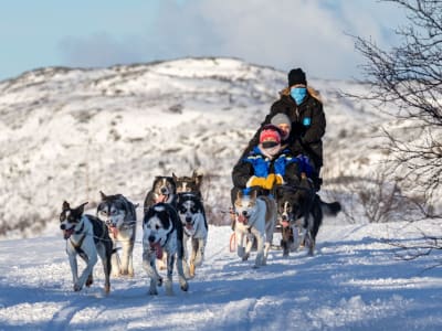 Beginner Guided Dog Sledding Excursion from Kirkenes