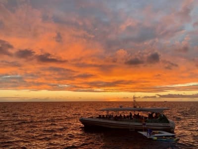 Waikiki sunset catamaran cruise, departing from Honolulu