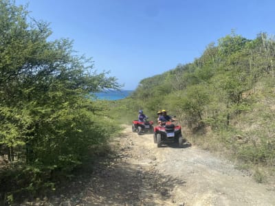 Guided Quad Bike Tour of Saint-Martin