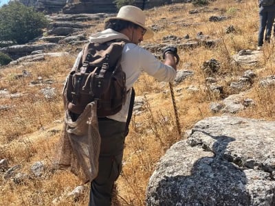 Senderismo Geológico Guiado en El Torcal de Antequera, Andalucía