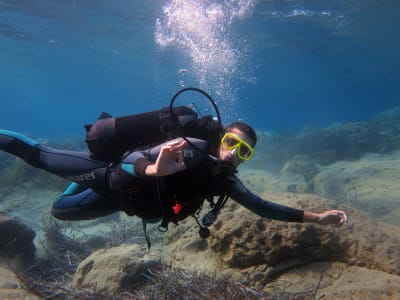 Tauchausflug auf Kos 