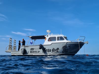 Excursión guiada de Snorkel en la Reserva Marina de Arrábida desde Sesimbra