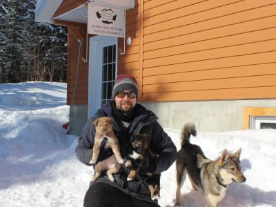Visite d’un chenil de Huskies en Gaspésie, dans la vallée de la Matapédia