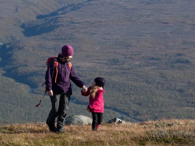 Excursión guiada a pie por el Parque Nacional de Abisko con un guía sami, Kiruna  