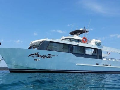 Boat Trip along the coast of Monaco