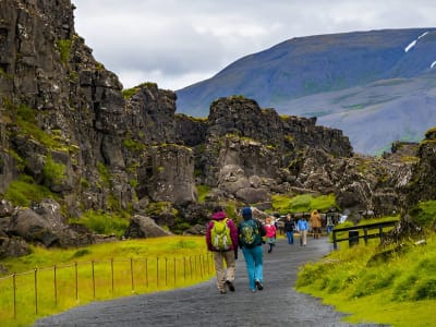 Golden Circle Sightseeing Tour with Friðheimar Visit from Reykjavik