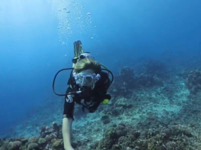 2 Tank Exploration Dive in Tahiti