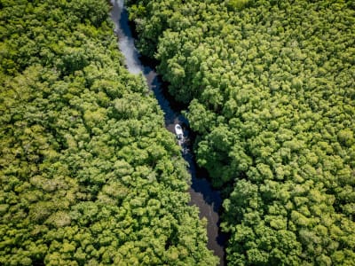 Excursion en bateau au Grand cul-de-sac Marin depuis Port-Louis