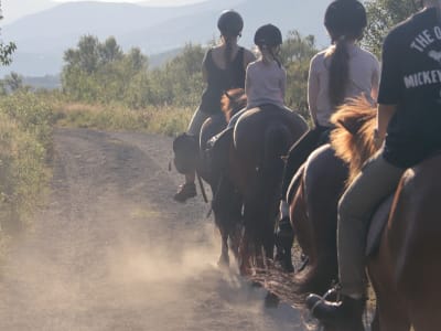 Horseback Riding Tour in Måslia Seter from Ørskogfjellet near Ålesund