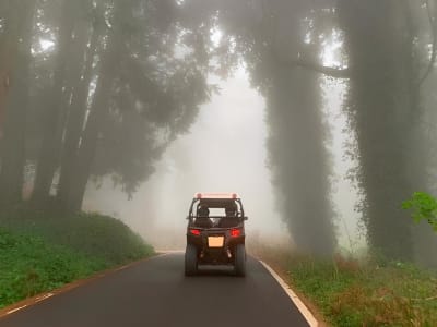 Excursion en buggy sur les sentiers tout-terrain de Sintra et du parc naturel de Sintra-Cascais