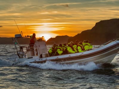 Excursion en bateau sur l'île de Mykines depuis Sørvágur dans les îles Féroé