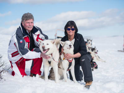 Husky Kennel Tour and Visit in Sälen