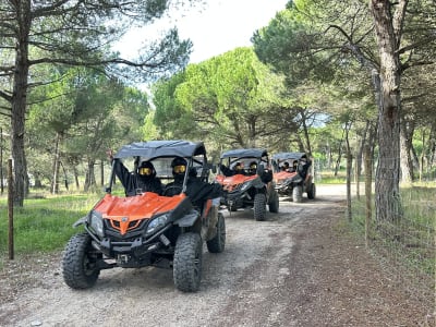 Buggy Excursion to the Albufeira Lagoon from Sesimbra