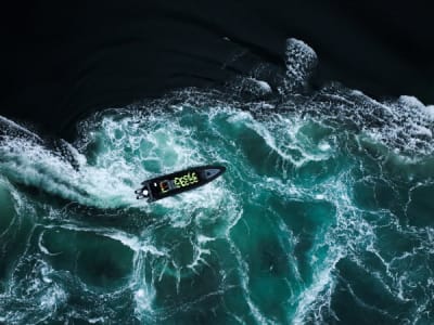 RIB Safari to Saltstraumen from Bodø