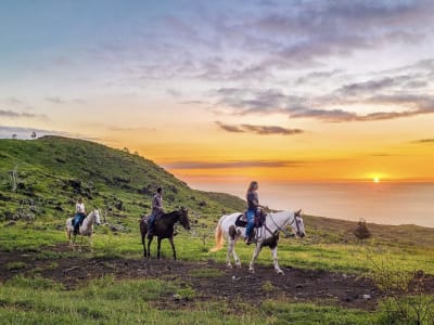 Randonnée à cheval dans les montagnes d'O'ahu