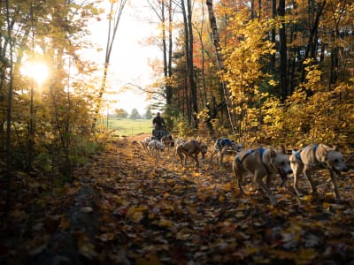 Découverte du cani-kart à Saint-Liguori avec visite du chenil, près de Montréal