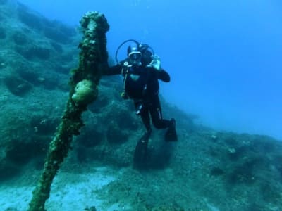 Scuba Dives for Certified Divers from Agia Pelagia near Heraklion