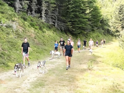 Cani-randonnée au Val d'Azun avec un husky de Sibérie, Cauterets