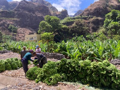 Visita guiada a Santo Antão desde São Vicente