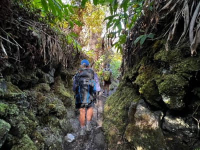 Guided hiking tour  in the Volcanoes National Park, Island of Hawai’i