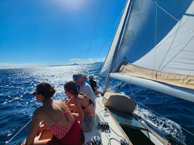 Sailing Trip with Snorkelling in Les Saintes from Basse-Terre, Guadeloupe