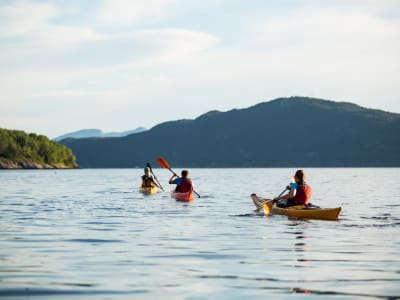 Kayak de mer sur le Hardangerfjord à partir de Jondal