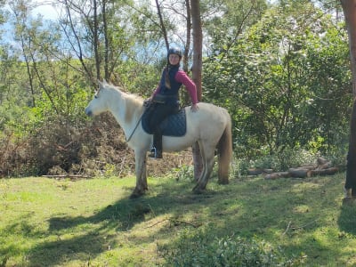 Beginner Horseback Riding on the Piton Maïdo, Reunion Island