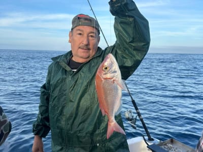 Descubra la pesca en el Parque Natural de Arrábida desde Sesimbra