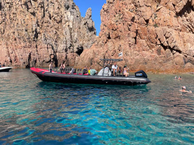 Balade en bateau dans le golfe de Porto depuis Sagone ou Cargèse, Corse