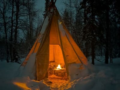 Experiencia tradicional lapona con raquetas de nieve, sauna y barbacoa desde Ylläsjärvi